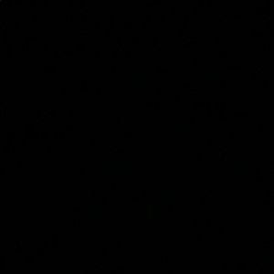 Meet your Posher, Jerry